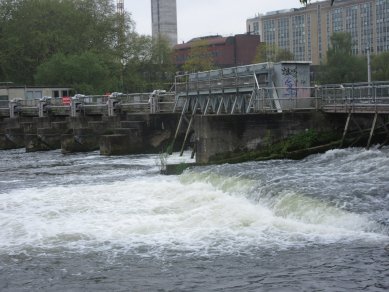 Weir
