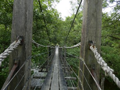 Bridge