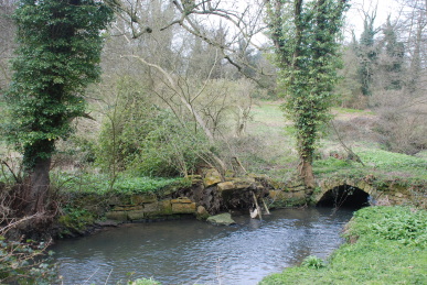 Fallen tree over Maltby Beck Fallen