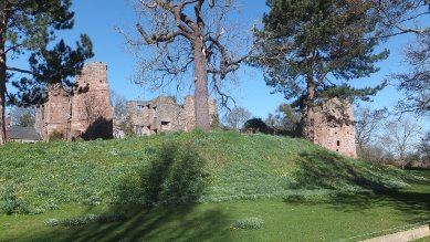 Castle