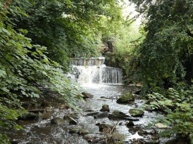 Waterfall