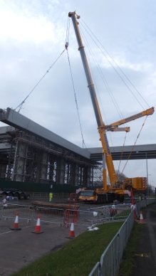 Crane