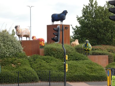 Sheep