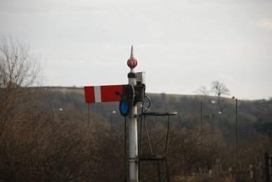 Signal
