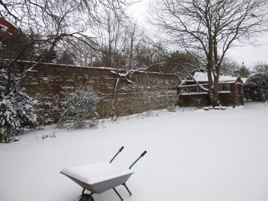 Snow