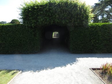 Beech Tunnel