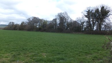 Rowe Ditch