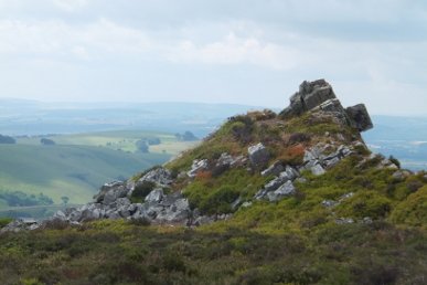Cranberry Rock