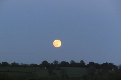 Moon