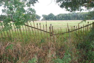 Fence