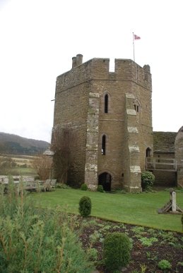 South Tower