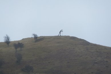 The Pilgrim