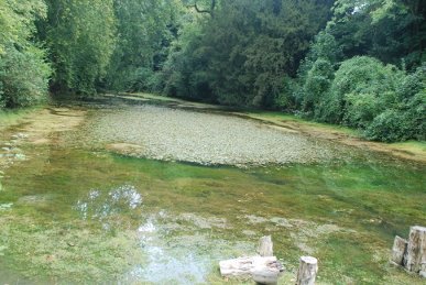 Silent Pool