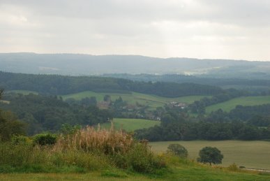 Downs