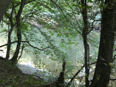 River Teme