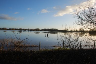 Flood