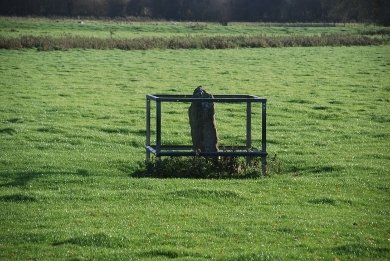 Wergin's Stone