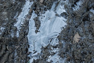 Ice