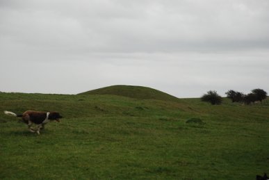 Barrow