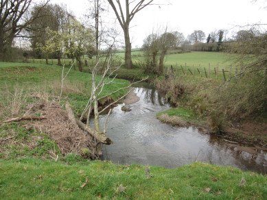 Cheaton Brook