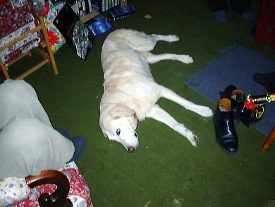 Buster
