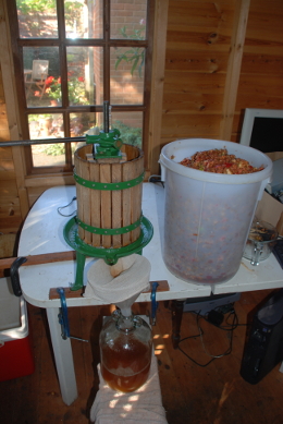 Cider Making Cider